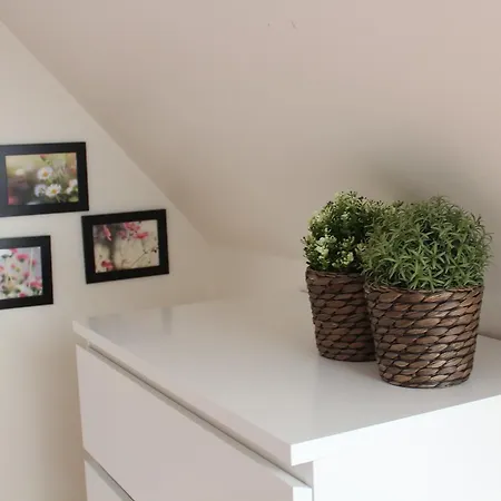 Sleepover לינה וארוחת בוקר